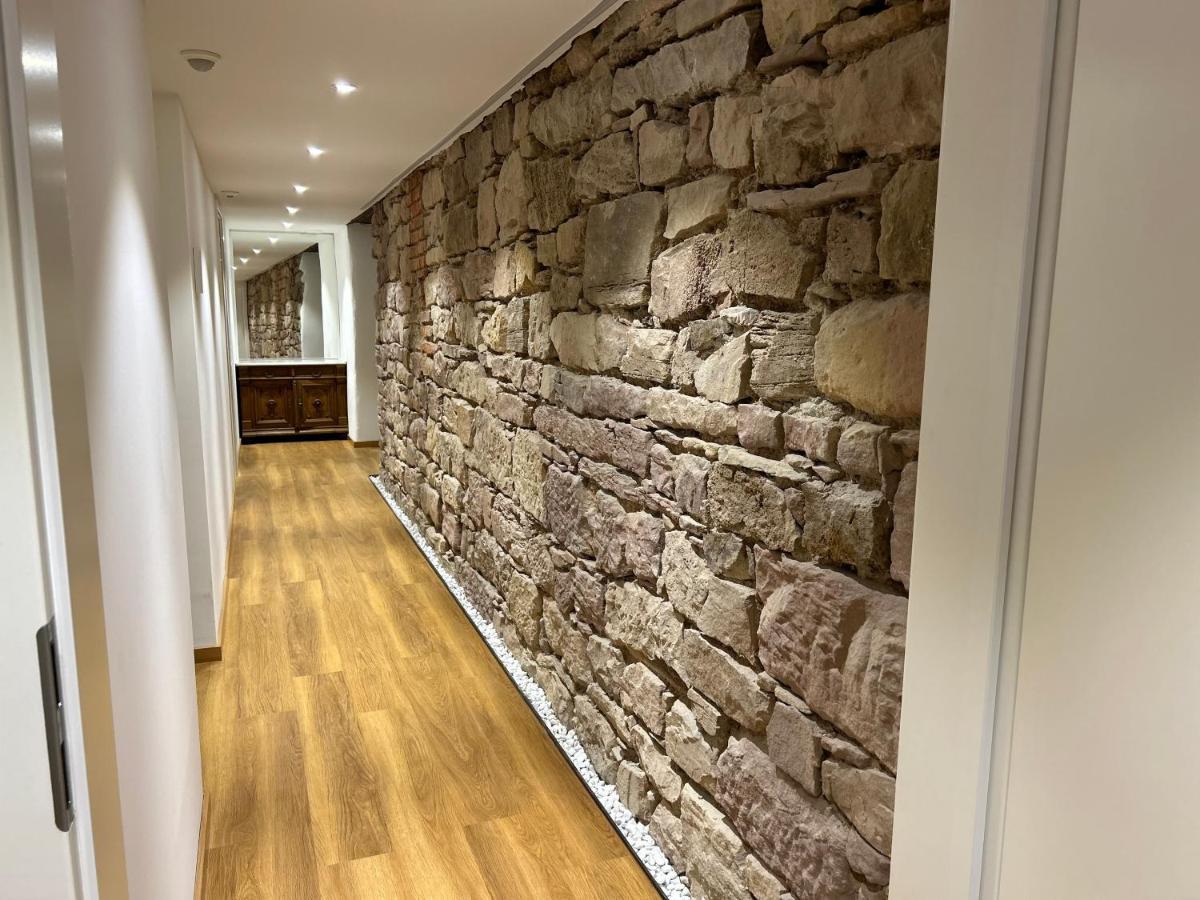 Historical Luxury Homes - Luxus Familien Suite Freiburg im Breisgau Eksteriør bilde