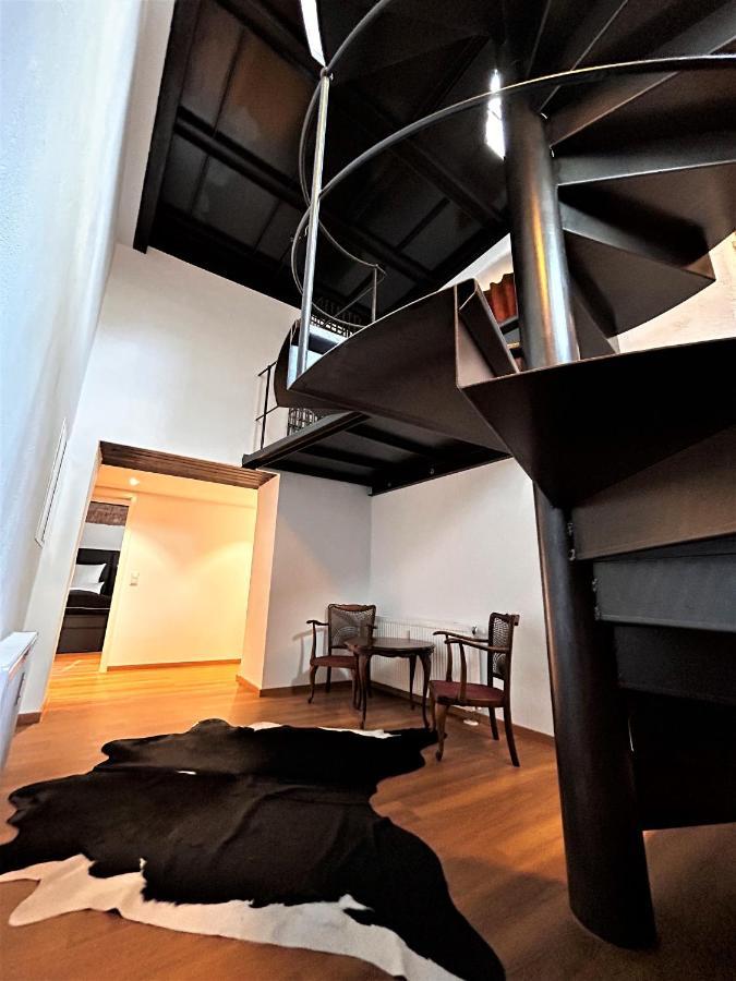 Historical Luxury Homes - Luxus Familien Suite Freiburg im Breisgau Eksteriør bilde